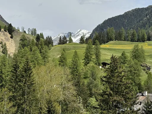 Bild von Kurhaus Bergün