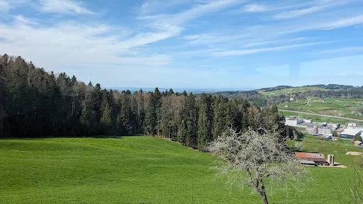 Bild von Restaurant Rüti