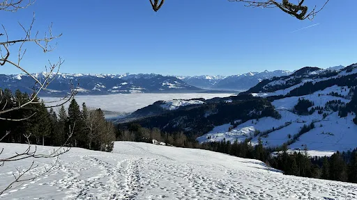 Bild von Gasthaus Hoher Hirschberg