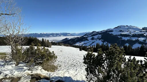 Bild von Gasthaus Hoher Hirschberg
