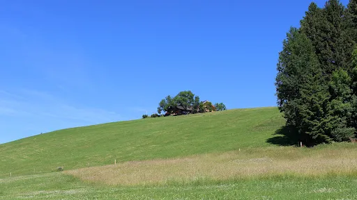 Bild von Gasthaus Hoher Hirschberg