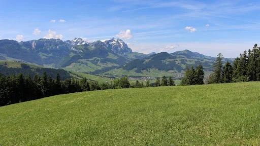 Bild von Gasthaus Hoher Hirschberg