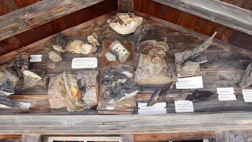 Bild von Gasthaus Hoher Hirschberg