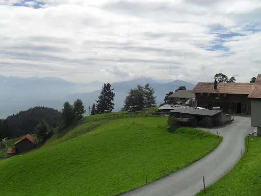 Bild von Restaurant St. Anton