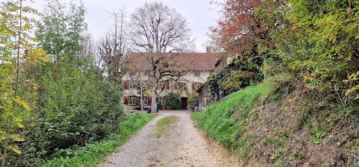 Bild von Gasthaus und Weingut Bad Osterfingen