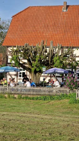 Bild von Restaurant & Biergarten "Zur Fähre"