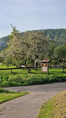 Bild von Restaurant & Biergarten "Zur Fähre"