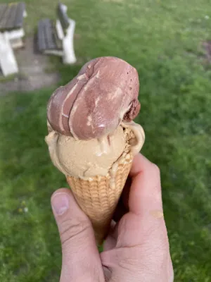 Eisbulle