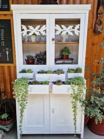 Bild von Lydia's Garten