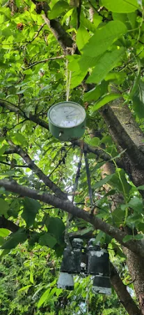 Bild von Lydia's Garten