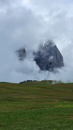 Bild von Ristorante Laurinhütte