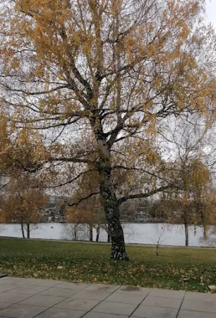 Bild von Lakeside Kaiser Steinbrunn