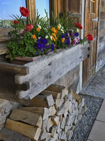 Bild von Königs-Alm