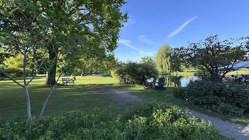 Bild von Restaurant Lieblingsplatz