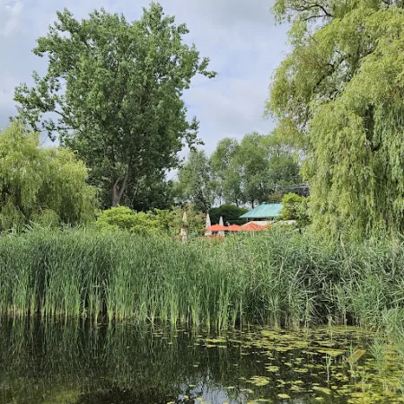 Bild von Graf Isang
