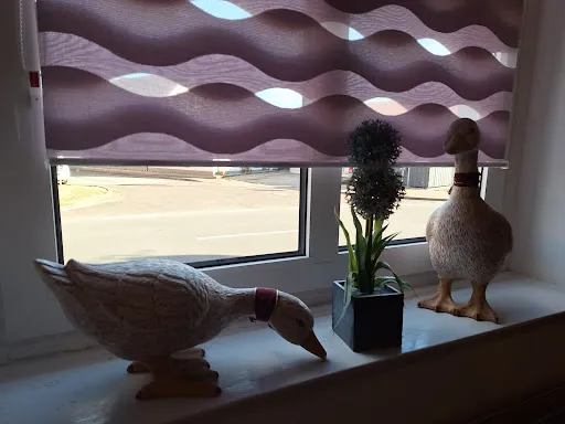 Bild von Goldene Gans