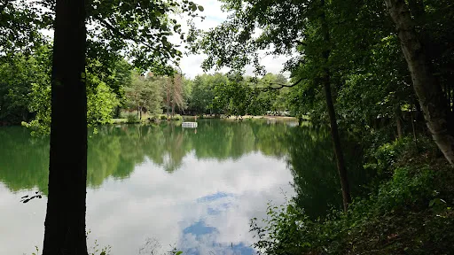 Bild von Campingplatz Alte Schmiede