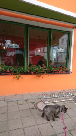 Bild von Pizzeria "Little Italy"