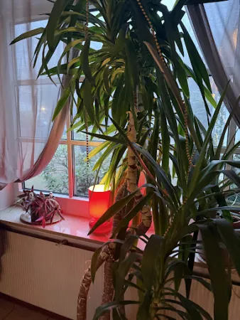 Bild von Restaurant Ratsstuben