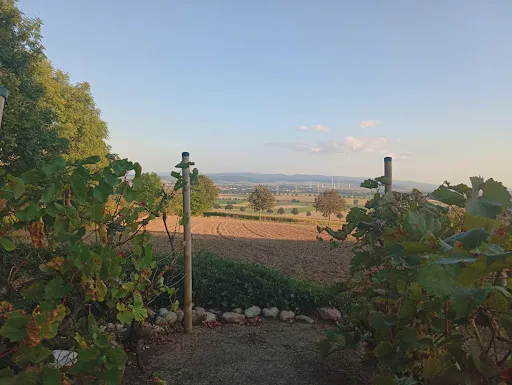 Bild von Restaurant am Weinberg