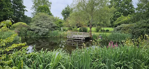 Bild von Heide-Café Bartels