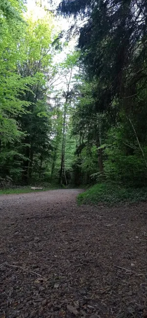 Alpenblick