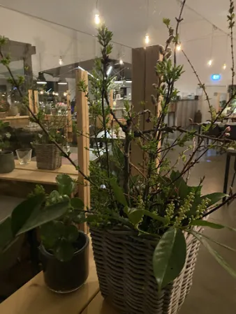 Bild von SCHICKe Markthalle