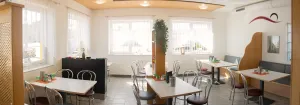 Schnitzel Fritz