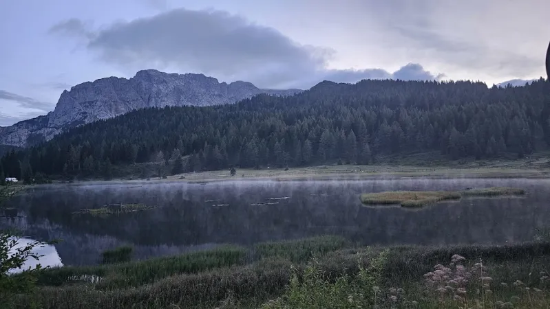 Bild von Elisa Mercuriali
