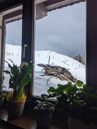 Bild von Taubenseehütte
