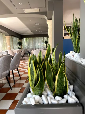 Bild von Osteria Almarè