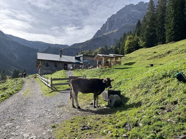 Bild von Bernhards Gemstel Alp