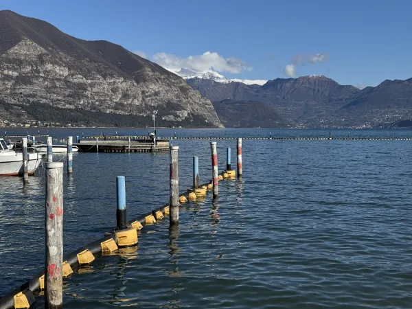 Bild von Fabio Bonafini