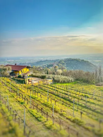 Bild von Agriturismo Incanto Grumello del Monte