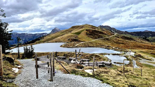 Bild von Pinzgablick
