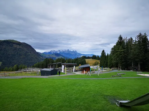 Bild von Streuböden Alm
