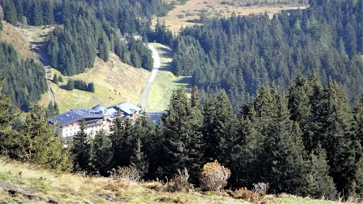 Bild von Pinzgablick
