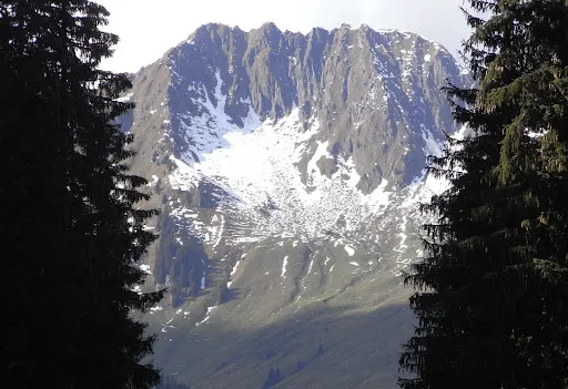 Bild von Pinzgablick
