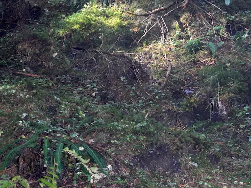 Bild von Pinzgablick