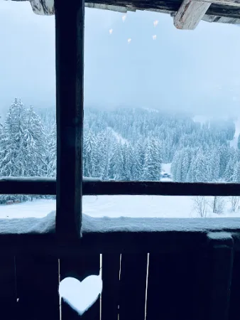 Bild von Jausenstation Frankalm