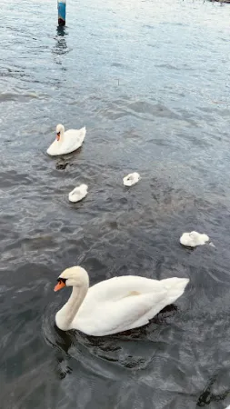 Bild von A-LAGO