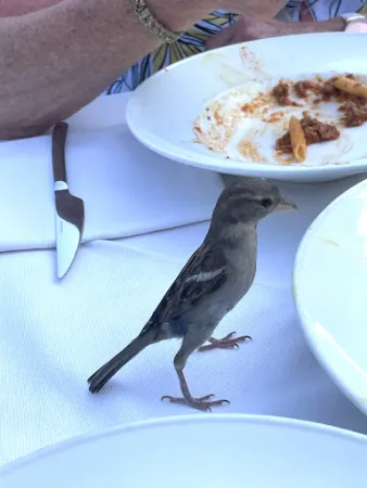 Bild von Ristorante Pizzeria Dal Bigaröla