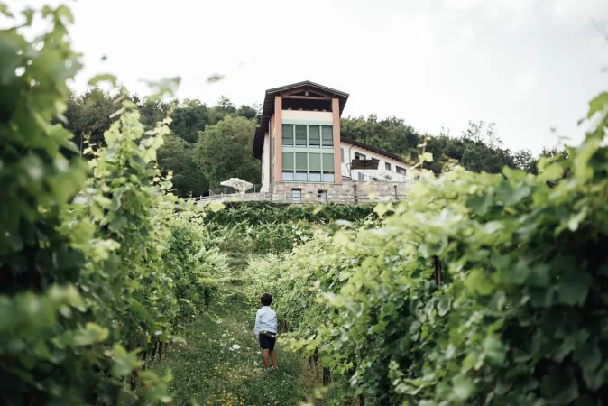 Bild von Polisena L'Altro Agriturismo Veg