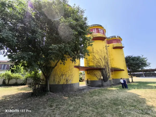 Bild von Rino Ghio