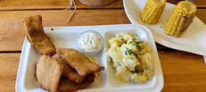 FRÄNZLE's