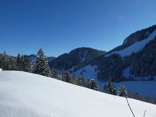 Bild von GASTHAUS S'AMAGMACH