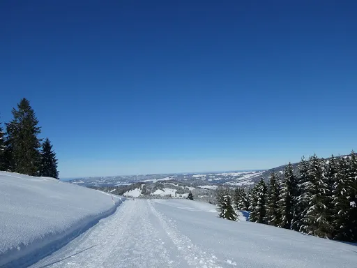 Bild von GASTHAUS S'AMAGMACH