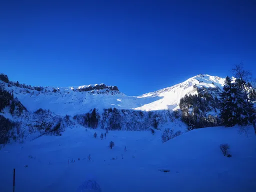 Bild von GASTHAUS S'AMAGMACH