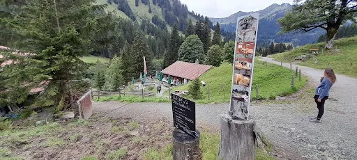 Bild von Alpe Widderstein