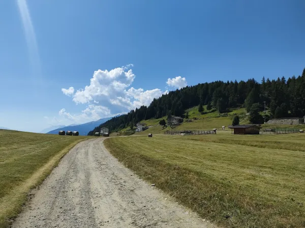 Bild von Nello Odierno